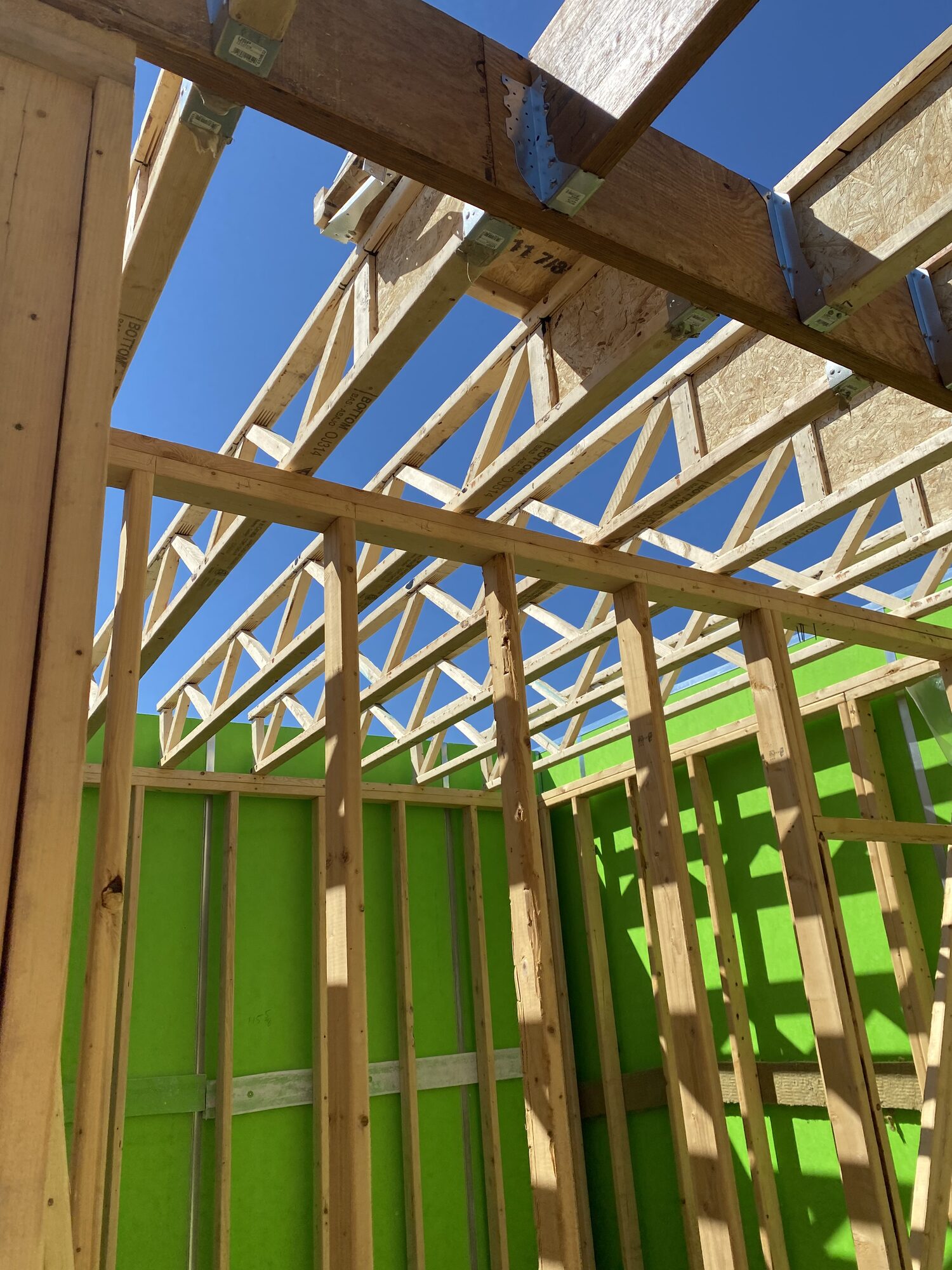Roof trusses and a header over new stud walls, with green sheathing on the outside wall.