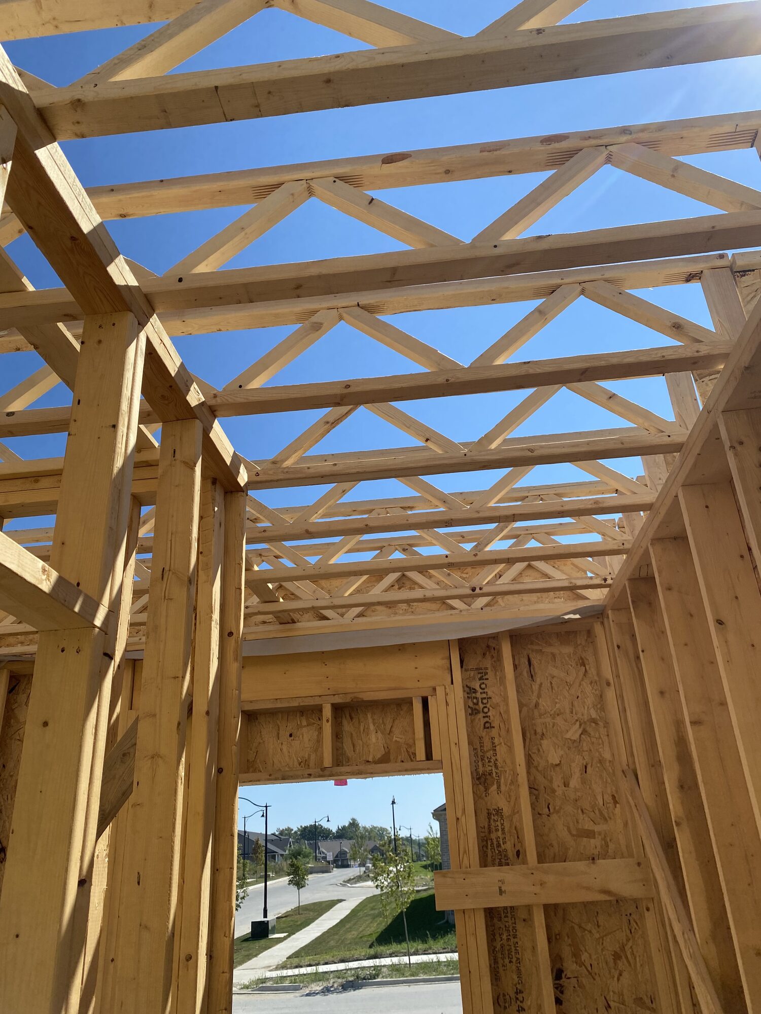 Looking up through new stud walls at roof trusses set against a blue sky, with a framed doorway below.
